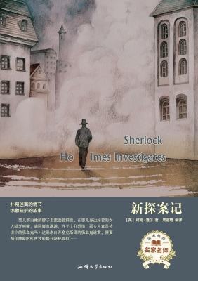 新探案记