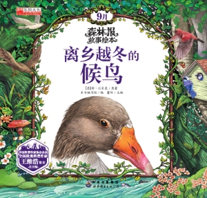 离乡越冬的候鸟