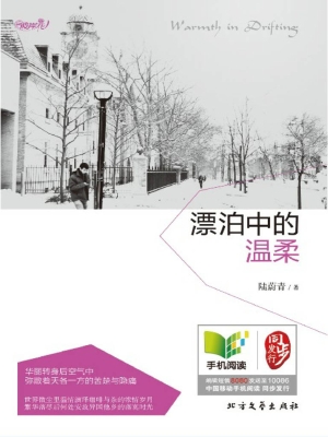 漂泊中的温柔