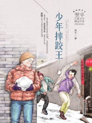 少年摔跤王