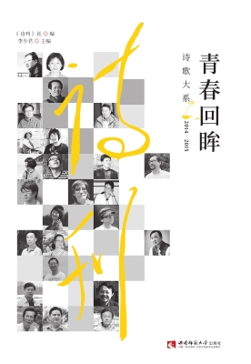 青春回眸诗歌大系 201