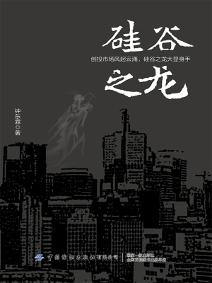 硅谷之龙