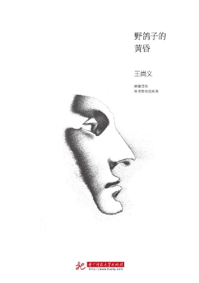 野鸽子的黄昏