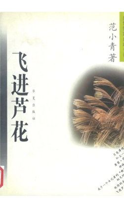 飞进芦花