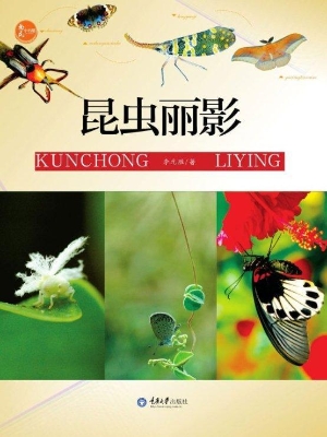 昆虫丽影