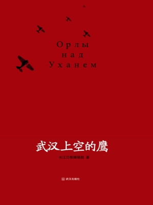 武汉上空的鹰