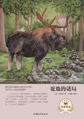 驼鹿的谜局