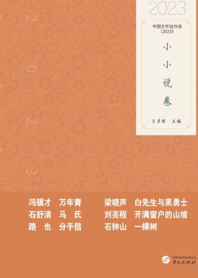 中国文学佳作选·小小