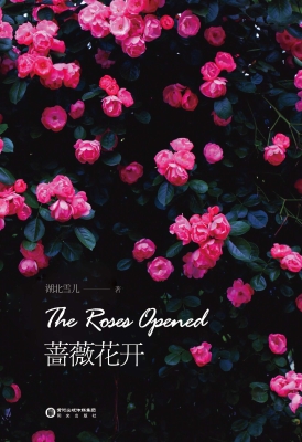 蔷薇花开