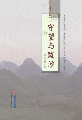 守望与跋涉
