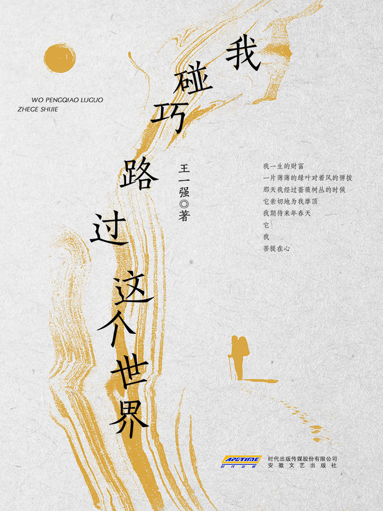 我碰巧路过这个世界