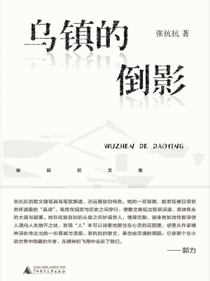 乌镇的倒影