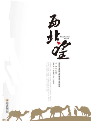 西北望——第25届全国