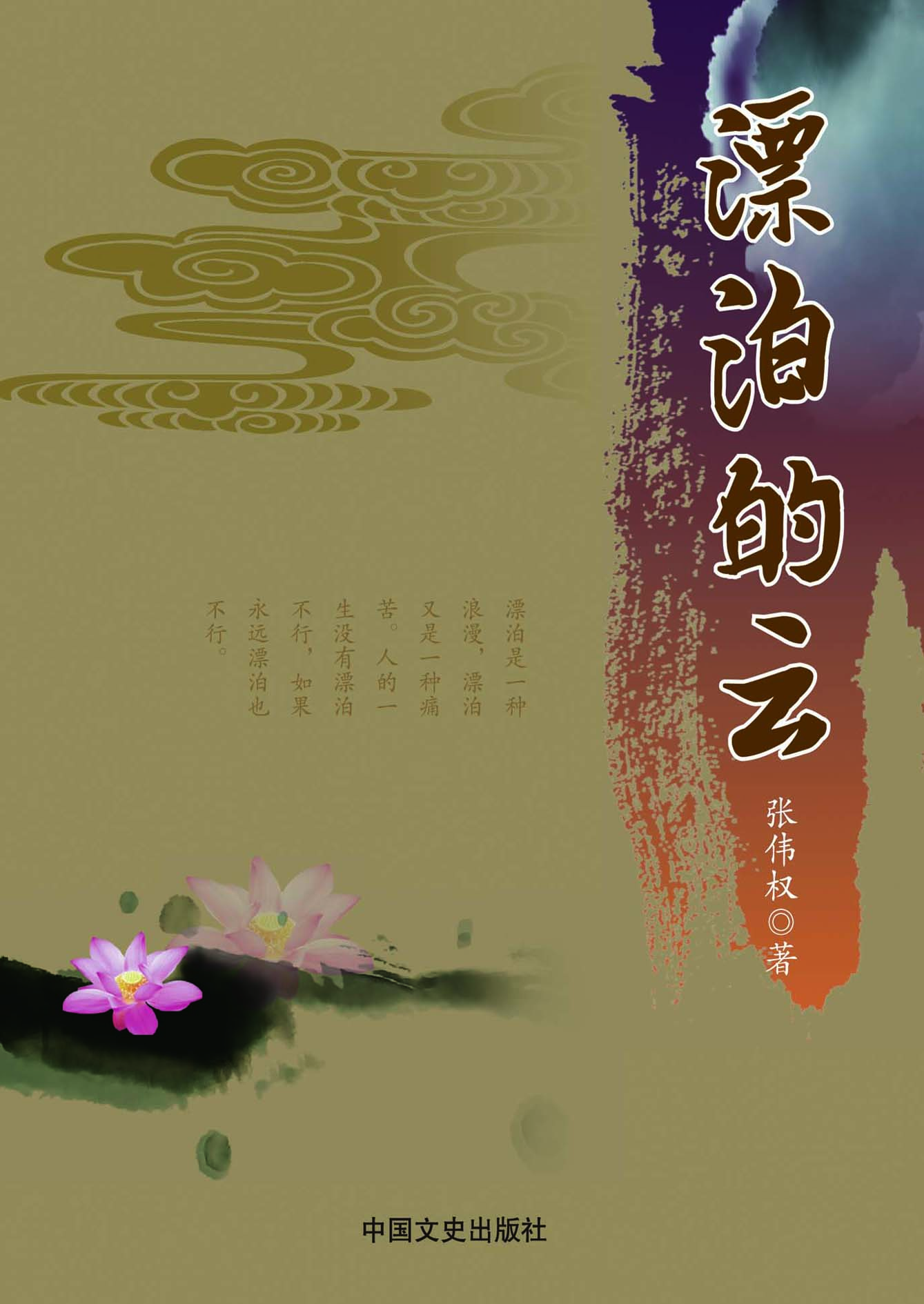 漂泊的云