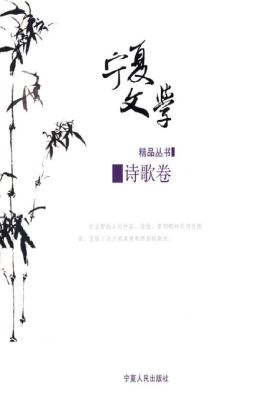 宁夏文学精品丛书——