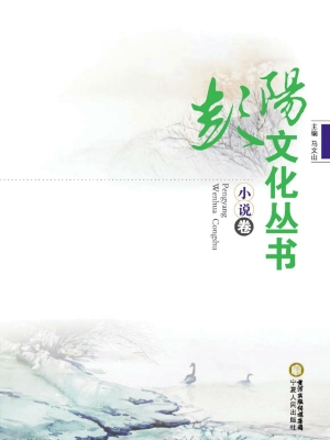 彭阳文化丛书——小说