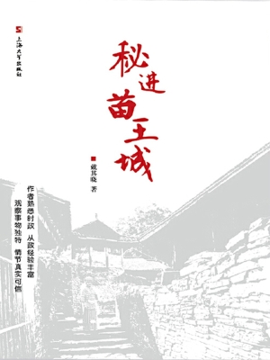 秘进苗王城