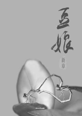 豆娘新章