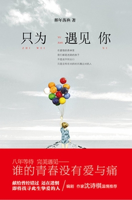 只为遇见你