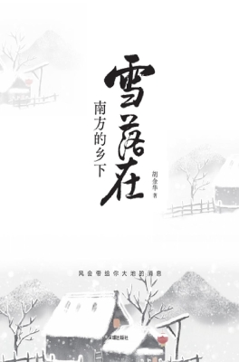 雪落在南方的乡下