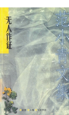 无人作证 范小青文集1