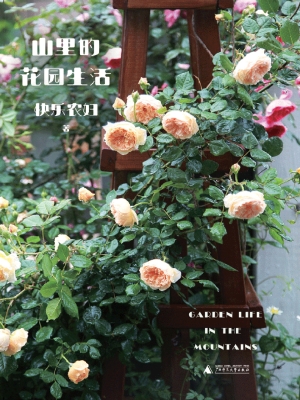 山里的花园生活