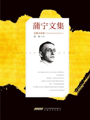 蒲宁文集——长篇小说