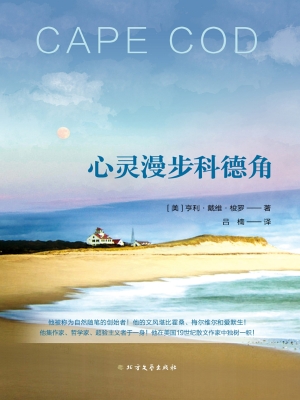 心灵漫步科德角