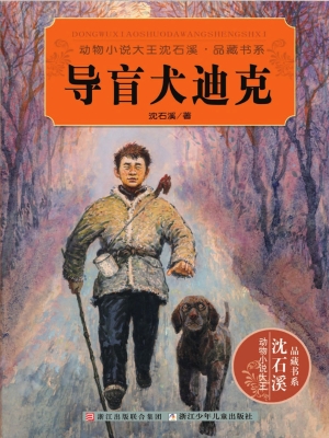 导盲犬迪克