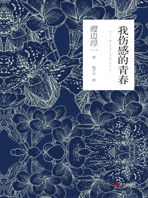 我伤感的青春