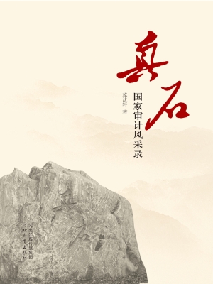 真石——国家审计风采