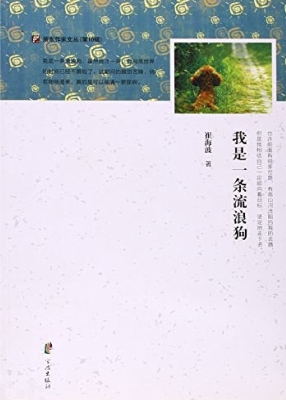 我是一条流浪狗