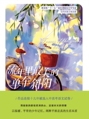 流年里最美的单车斜阳