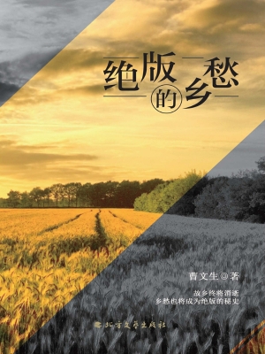 绝版的乡愁