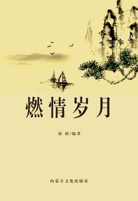 燃情岁月
