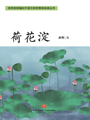 荷花淀