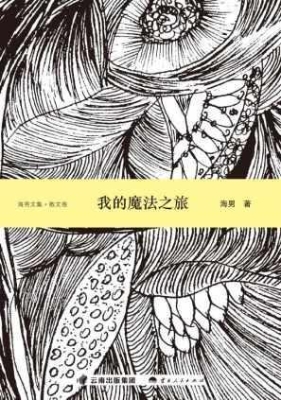 我的魔法之旅（散文卷）