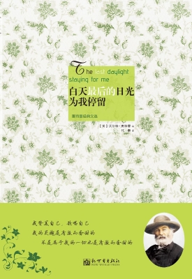 白天最后的日光为我停