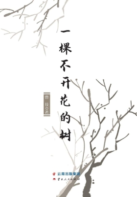 一棵不开花的树