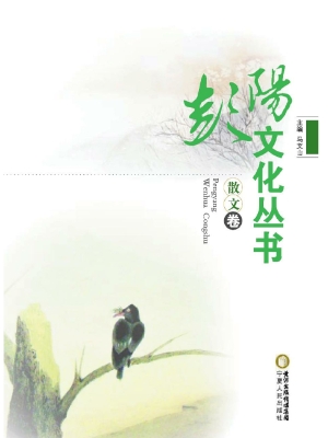 彭阳文化丛书——诗歌