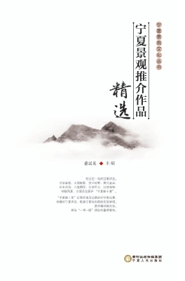 宁夏景观推介作品精选