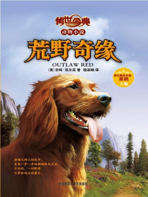 荒野奇缘