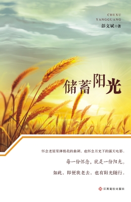 储蓄阳光