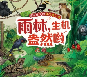 雨林，生机盎然哟