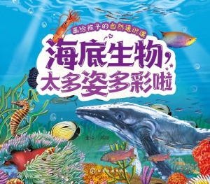 海底生物，太多姿多彩啦