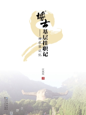博士基层挂职记——神