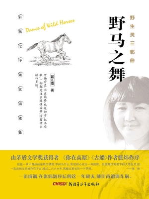 野马之舞
