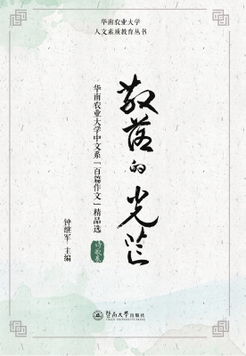 散落的光芒