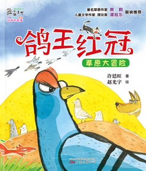 鸽王红冠——草原大冒