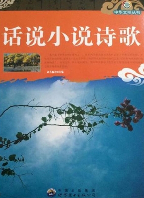 话说小说诗歌